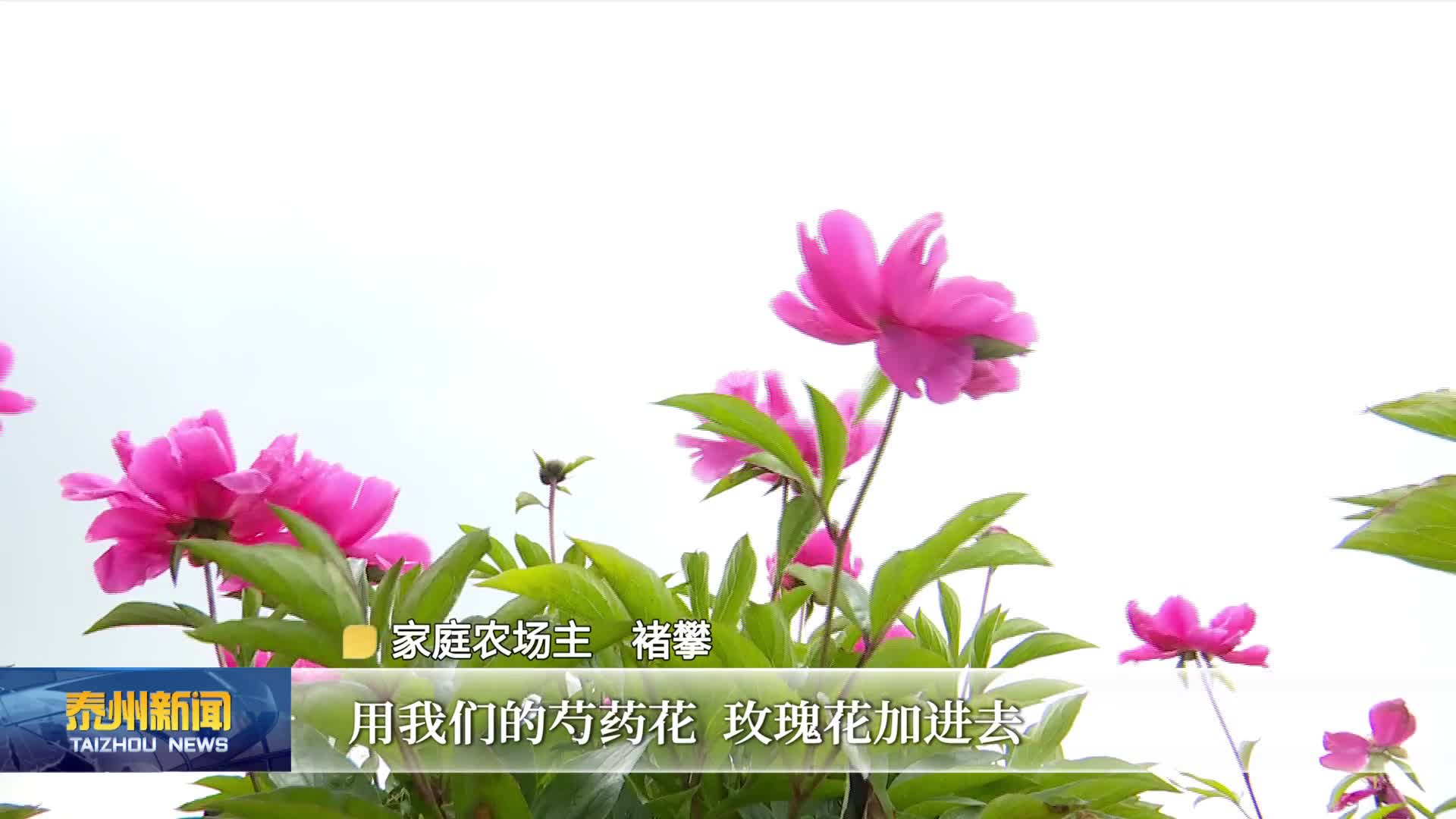 江畔观景+农村赏花 赛事助威+非遗传承